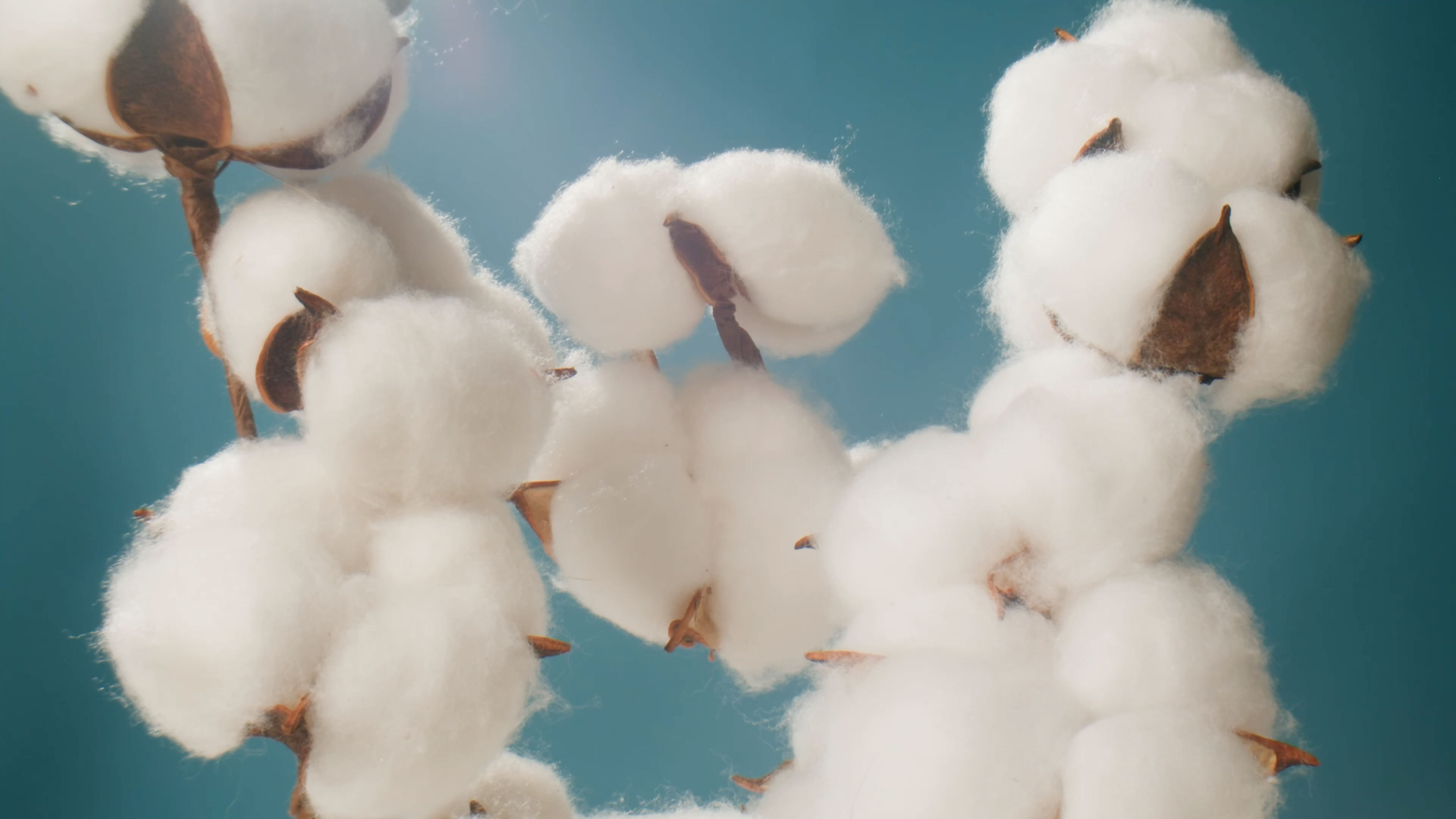 Empresa con 50 años de trayectoria en la industria de la maquila textil.