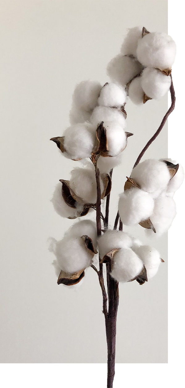 Empresa con 50 años de trayectoria en la industria de la maquila textil.